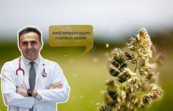Alerji tedavisinde aşının önemi: Uzman doktor anlattı