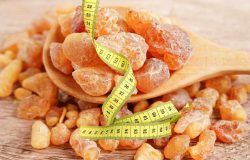 Bu sakız metabolizma hızınızı ikiye çıkarıyor! İşte 7 günde 3 kilo verdiren sandaloz sakızı