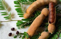 Demirhindi (tamarind) nedir ve demirhindi hangi yemeklerde kullanılır? Demirhindili yemekler