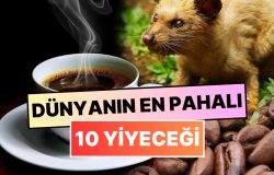 Dünyanın En Pahalı 10 Yiyeceği: Bu Yemeklerin Tadına Bakmak Cesaret İster!