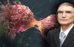 Kanser hastalarına yen umut! Nobel ödüllü Aziz Sancar müjdeyi verdi!