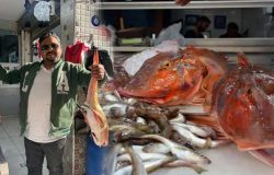 Kilosu 350 liradan satışta! Kırlangıç balığına halk yoğun ilgi! Kırlangıç balığı faydaları