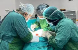 Mersin’de doktorları bile şaşkına uğratan olay:  Tam 1 kilo, hepsi midesinden çıktı!