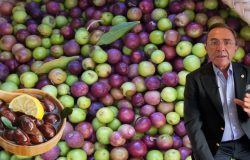 Osman Müftüoğlu merak edilen soruyu yanıtladı! Siyah zeytin mi faydalı yeşil zeytin mi?