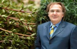 Prof. Dr. İbrahim Saraçoğlu’ndan sigarayı bıraktıran kekik kürü!