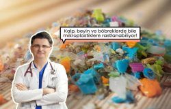 Sağlığı tehdit ediyor! Mikroplastikler her yerde: kalpte, beyinde, böbreklerde…