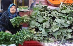 Turp otunun faydaları nelerdir ve nasıl tüketilir? Turp otu salatası