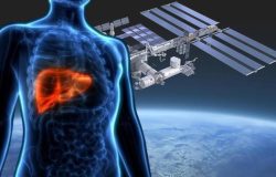 Uzayda organ yetiştirilecek: Bilim insanları organ nakli için çalışmalar başladı!