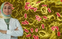 Yaz aylarında gıda zehirlenmelerine dikkat: Salmonella sessizce yayılıyor